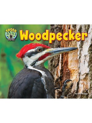 cover image of Woodpecker